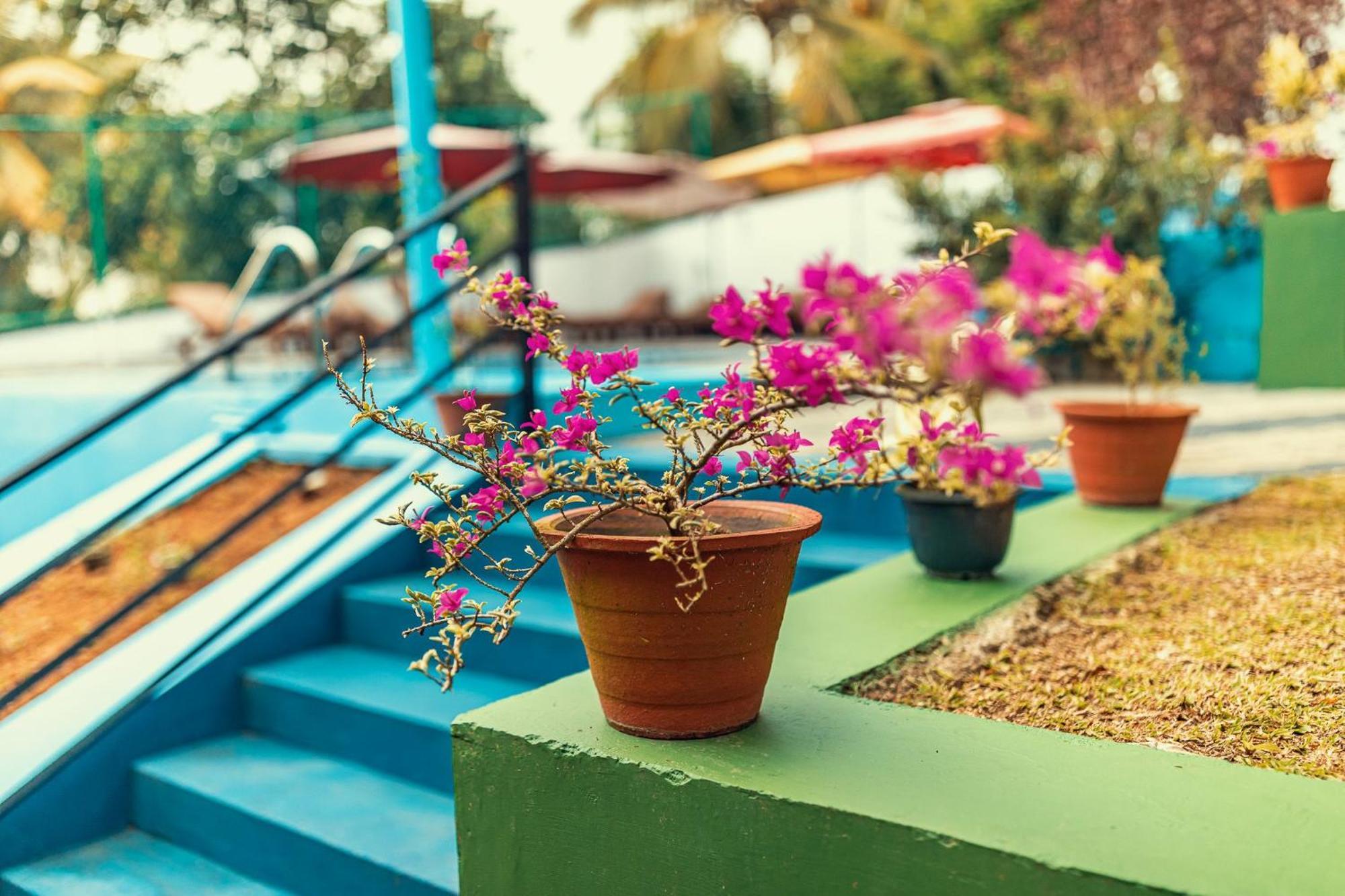 Villa Talpe Ngoại thất bức ảnh